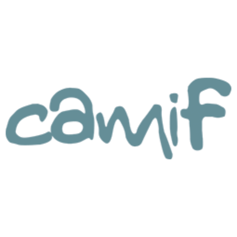 logo-camif-dmm-60