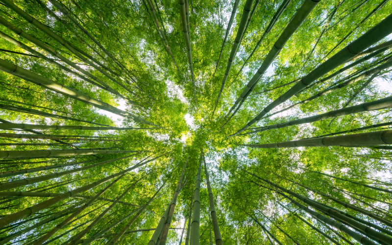 environnement-groupe-dmm