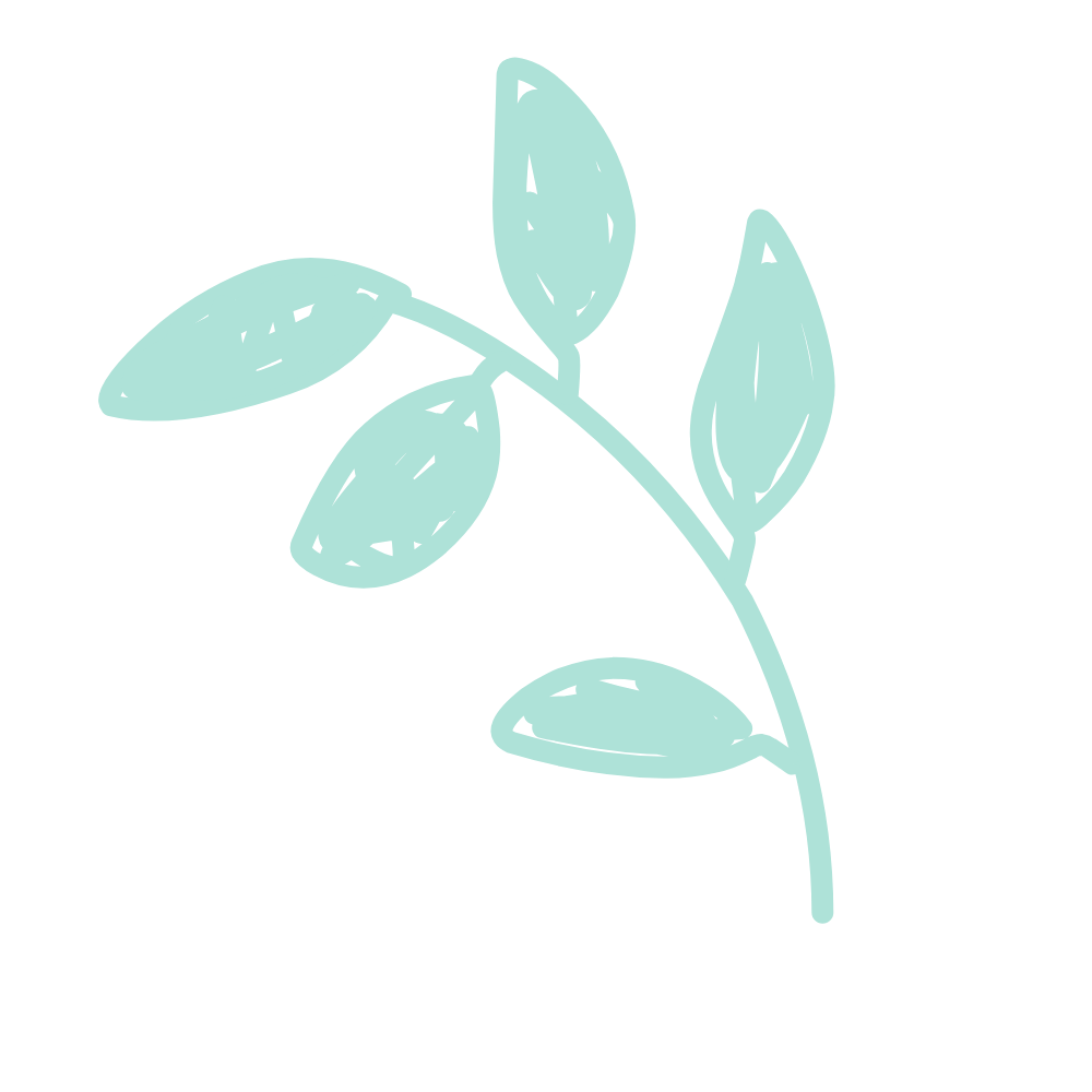 picto-environnement-groupe-dmm