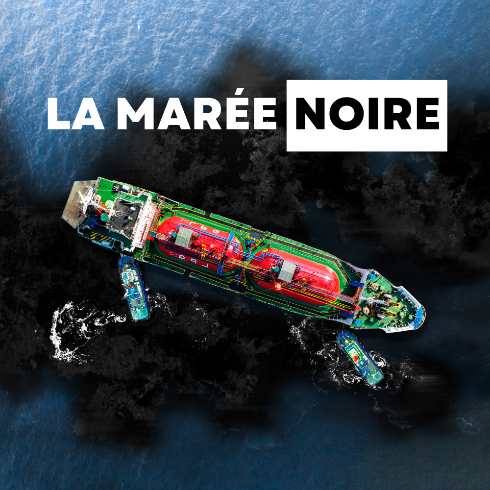 vignette-la-marée-noire-groupe-dmm-soft-skills